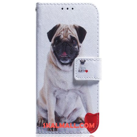 Läderfodral Sony Xperia 10 Vi Telefonfodral Mops Hund